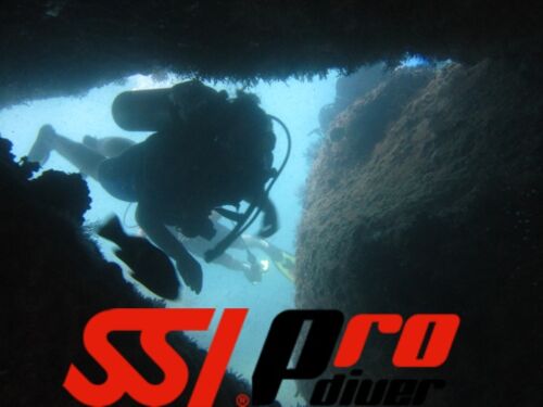 SSI Profesional Mexico