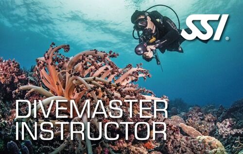 SSI Instructor Training Course Acapulco - Mexico