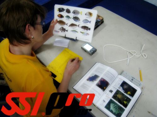 SSI Pro Open Water Scuba Assistant Instructor Acapulco - Mexico