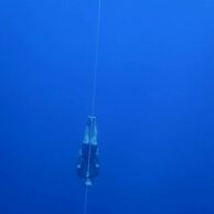 SDA Freediving Course