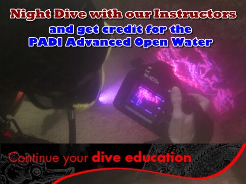 Adventure Dive