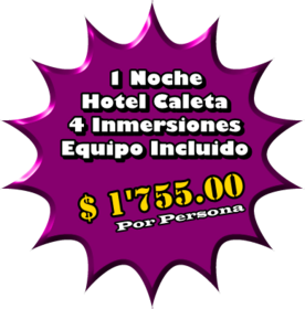 Promocion, 4 inmersiones, 4 Personas, 1 Noche en Hotel Caleta