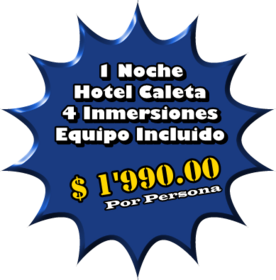 Promocion, 4 inmersiones, 2 Personas, 1 Noche en Hotel Caleta