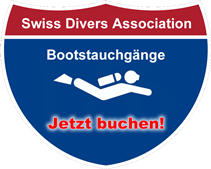 2 Bootstauchgänge in Acapulco