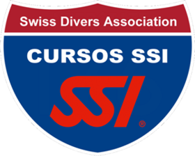 Cursos de SSI Mexico