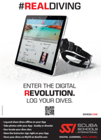 SSI Enter the Digital Revolution