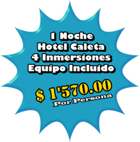 Promocion, 4 inmersiones, 4 Personas, 1 Noche en Hotel Caleta, Martes - Mircoles