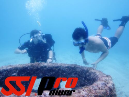 SSI Pro Open Water Scuba Assistant Instructor Acapulco - Mexico