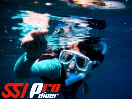 SSI Pro Open Water Scuba Instructor Acapulco - Mexico