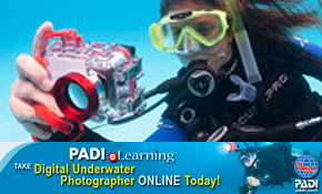 PADI Digital Photographer e-Learning